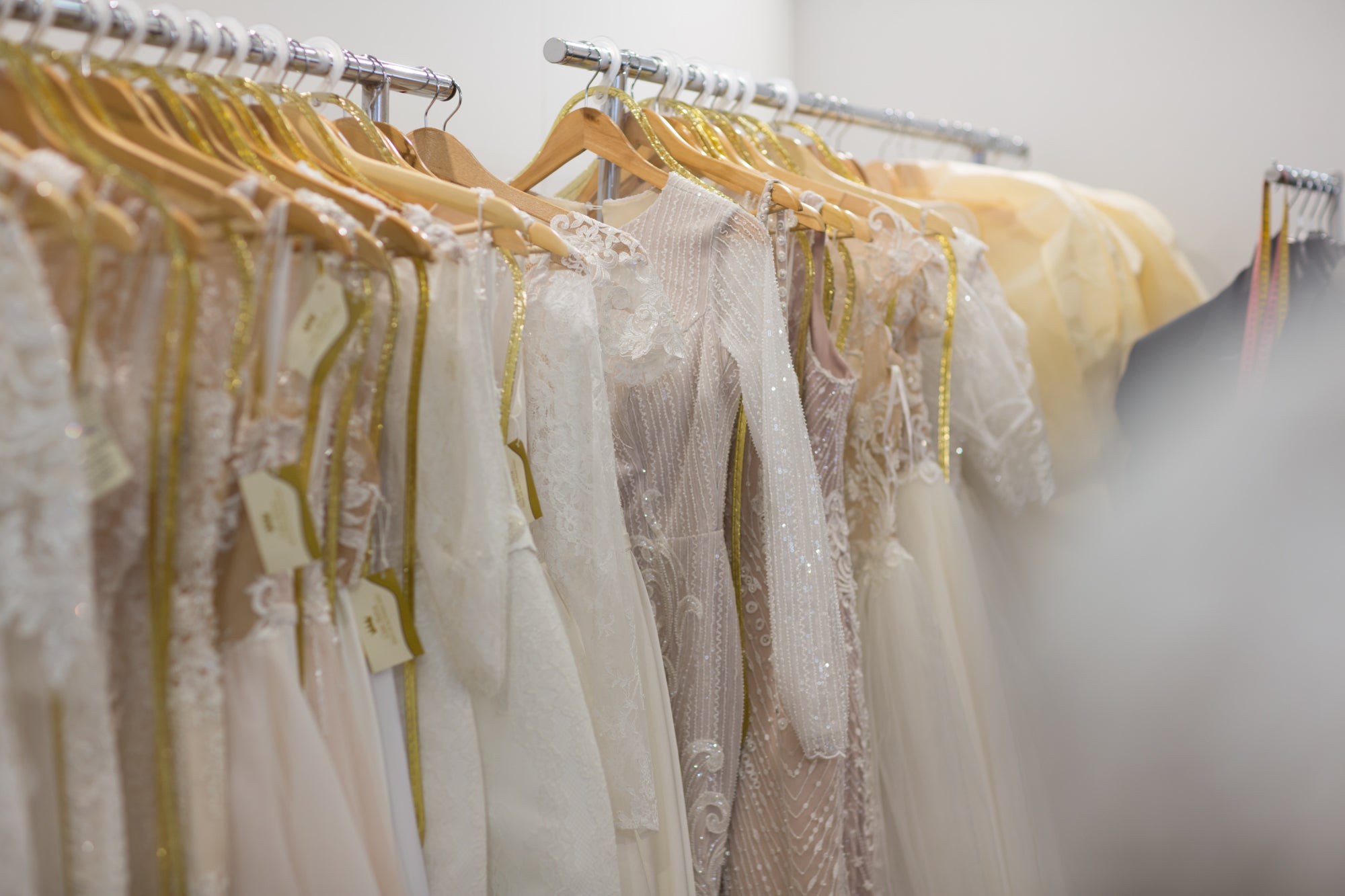 
          
            Why Eco-Conscious Brides Choose Us: Leading Wedding Dress Preservation Specialists
          
        