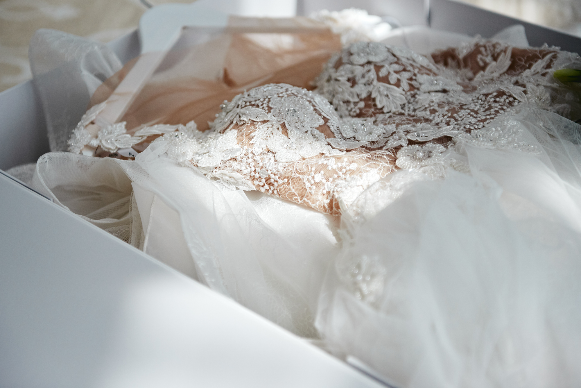 
          
            5 Reasons Why Dress Preservation is a Must for Your Wedding Dress
          
        