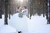 
          
            Planning a Magical Winter Wonderland Wedding
          
        